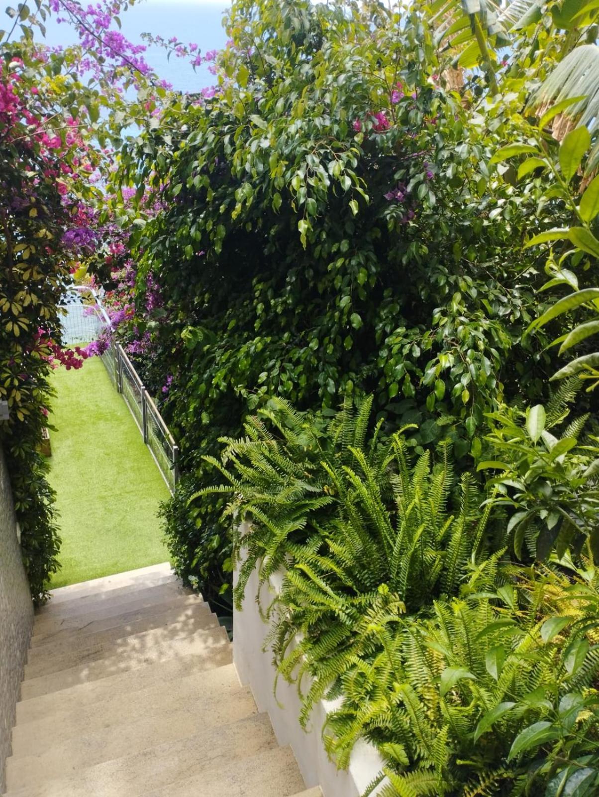 Condesa Del Mar Adults Only Aparthotel