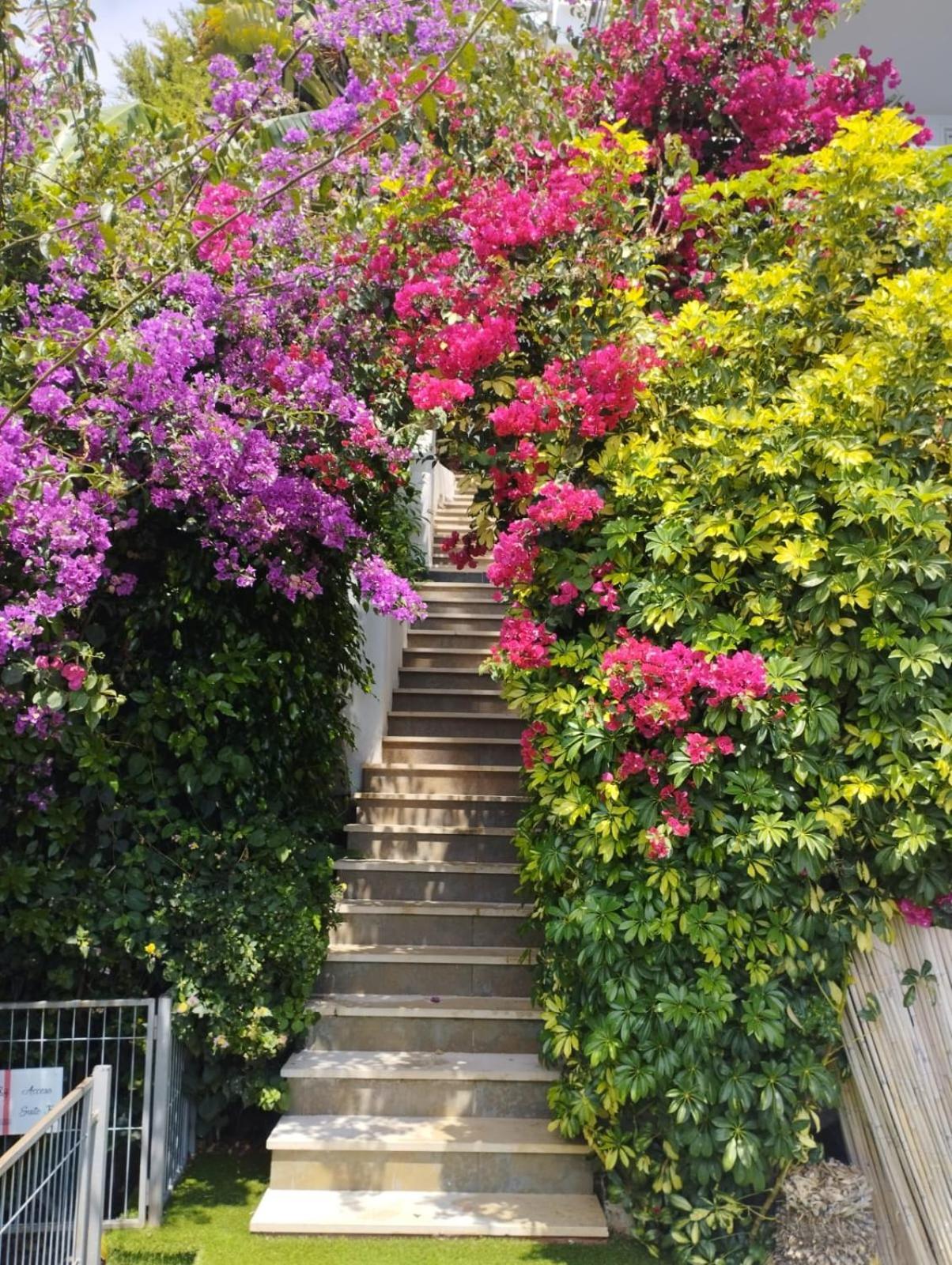 Condesa Del Mar Adults Only Aparthotel Altea